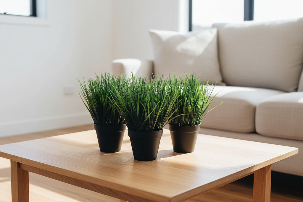 30cm Mondo Grass in Modern Australian Living Room