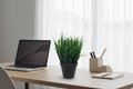 30cm Mondo Grass on Modern Australian Home Office Desk