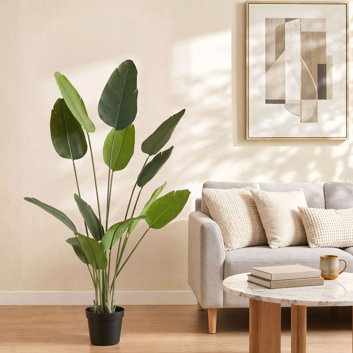 Tropical Bird of Paradise Plant - 150cm