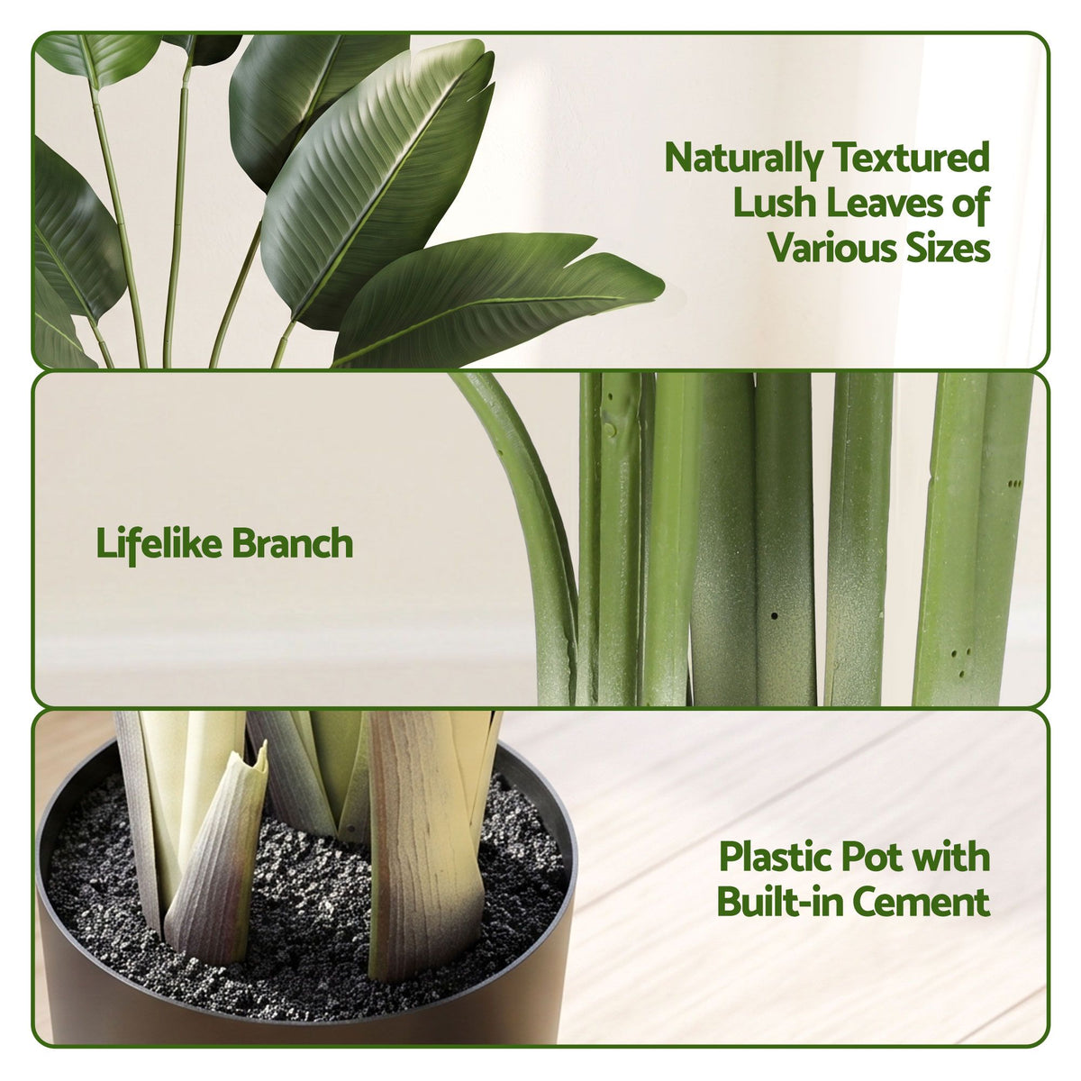 Tropical Bird of Paradise Plant - 150cm