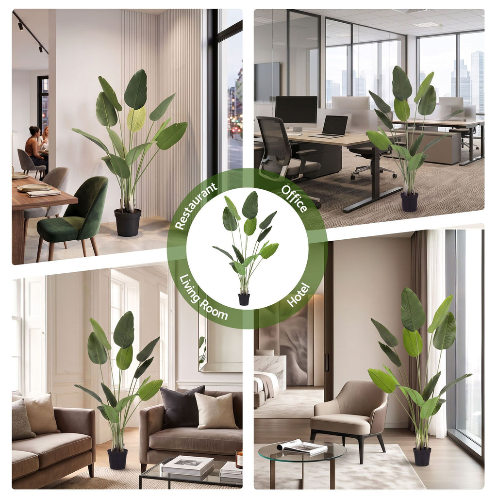 Tropical Bird of Paradise Plant - 150cm