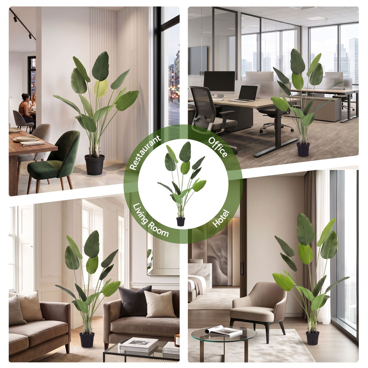 Tropical Bird of Paradise Plant - 150cm