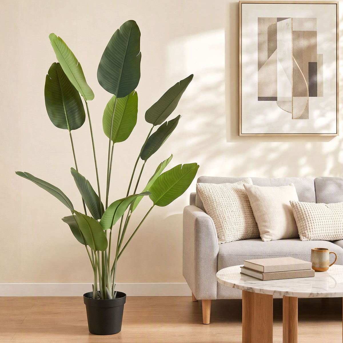 Grand Tropical Bird of Paradise Plant - 180cm