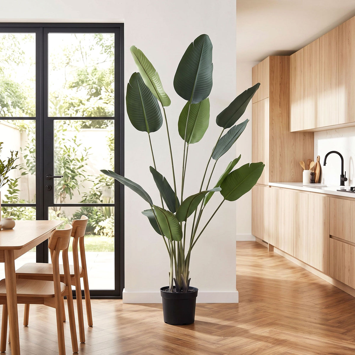 Grand Tropical Bird of Paradise Plant - 180cm