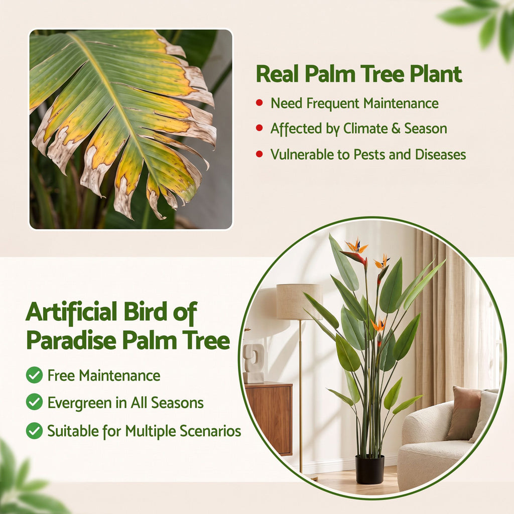 Flowering Tropical Bird of Paradise Plant - 150cm