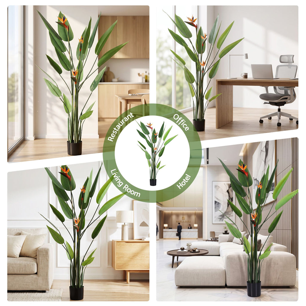 Flowering Tropical Bird of Paradise Plant - 150cm