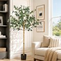 Australian Silver Dollar Eucalyptus Tree - 150cm