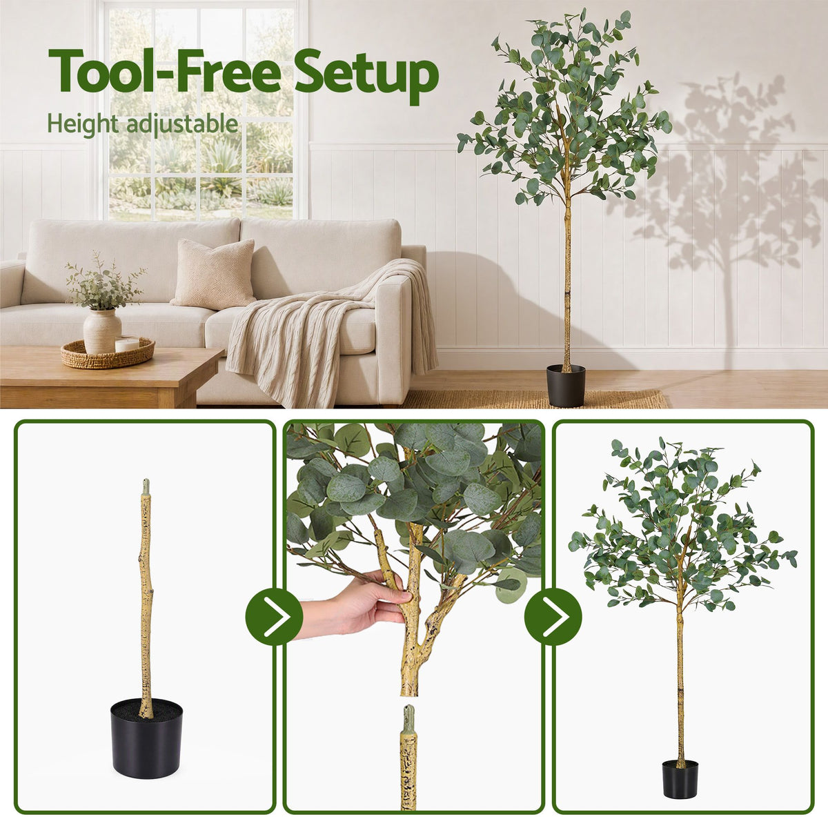 Australian Silver Dollar Eucalyptus Tree - 150cm