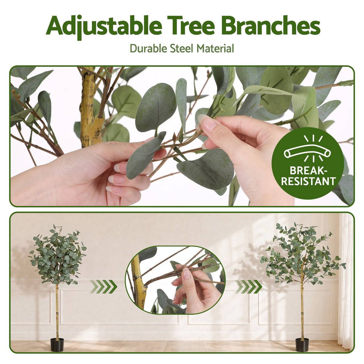 Australian Silver Dollar Eucalyptus Tree - 150cm