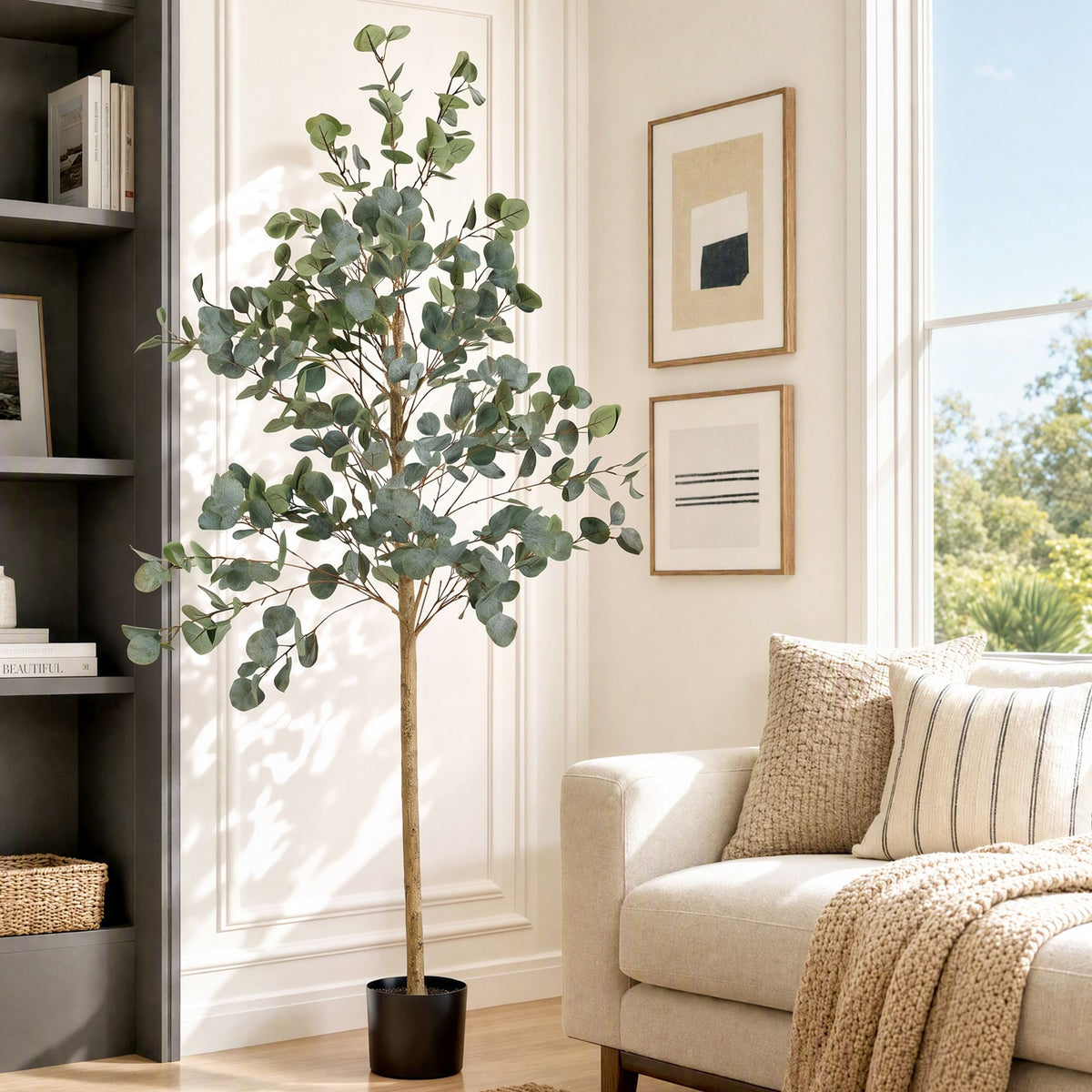 Grand Australian Silver Dollar Eucalyptus Tree - 180cm