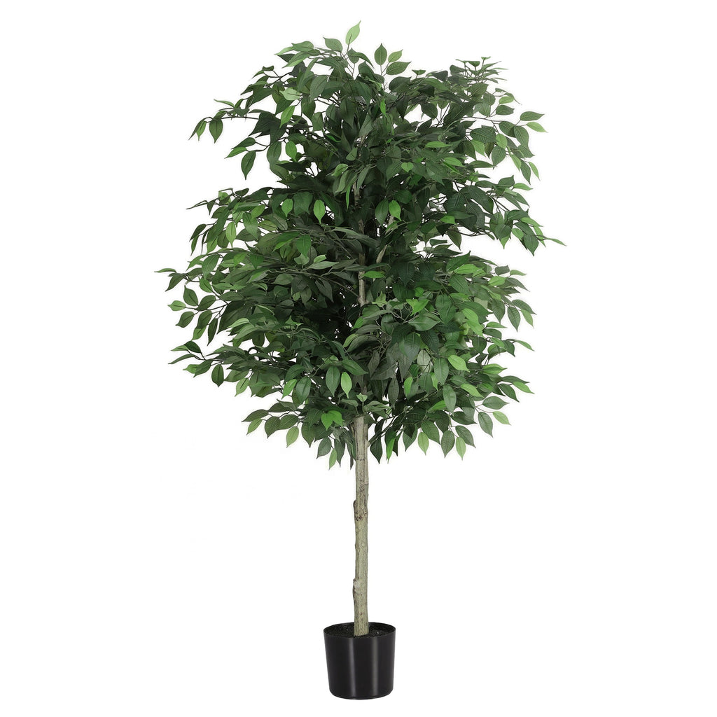 Grand Australian Ficus Tree (UV Resistant) 180cm