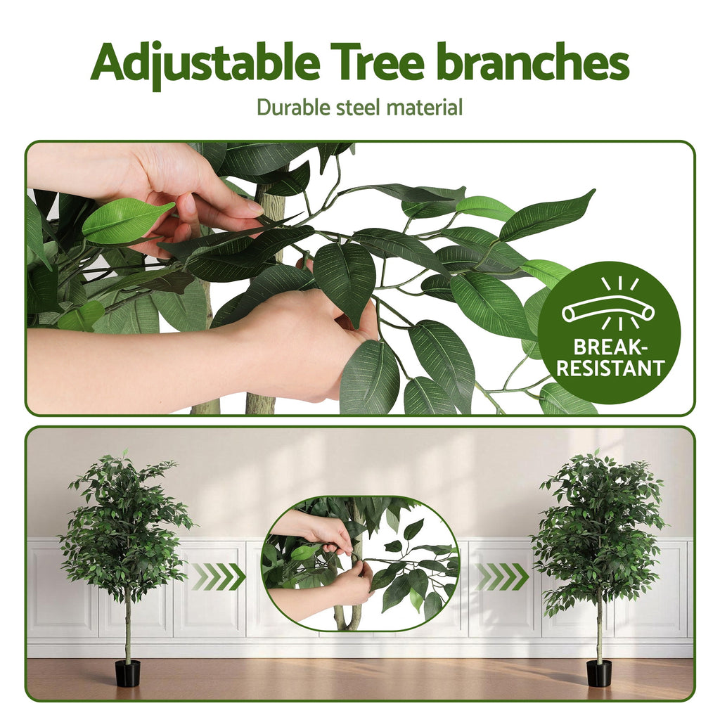 Grand Australian Ficus Tree (UV Resistant) 180cm