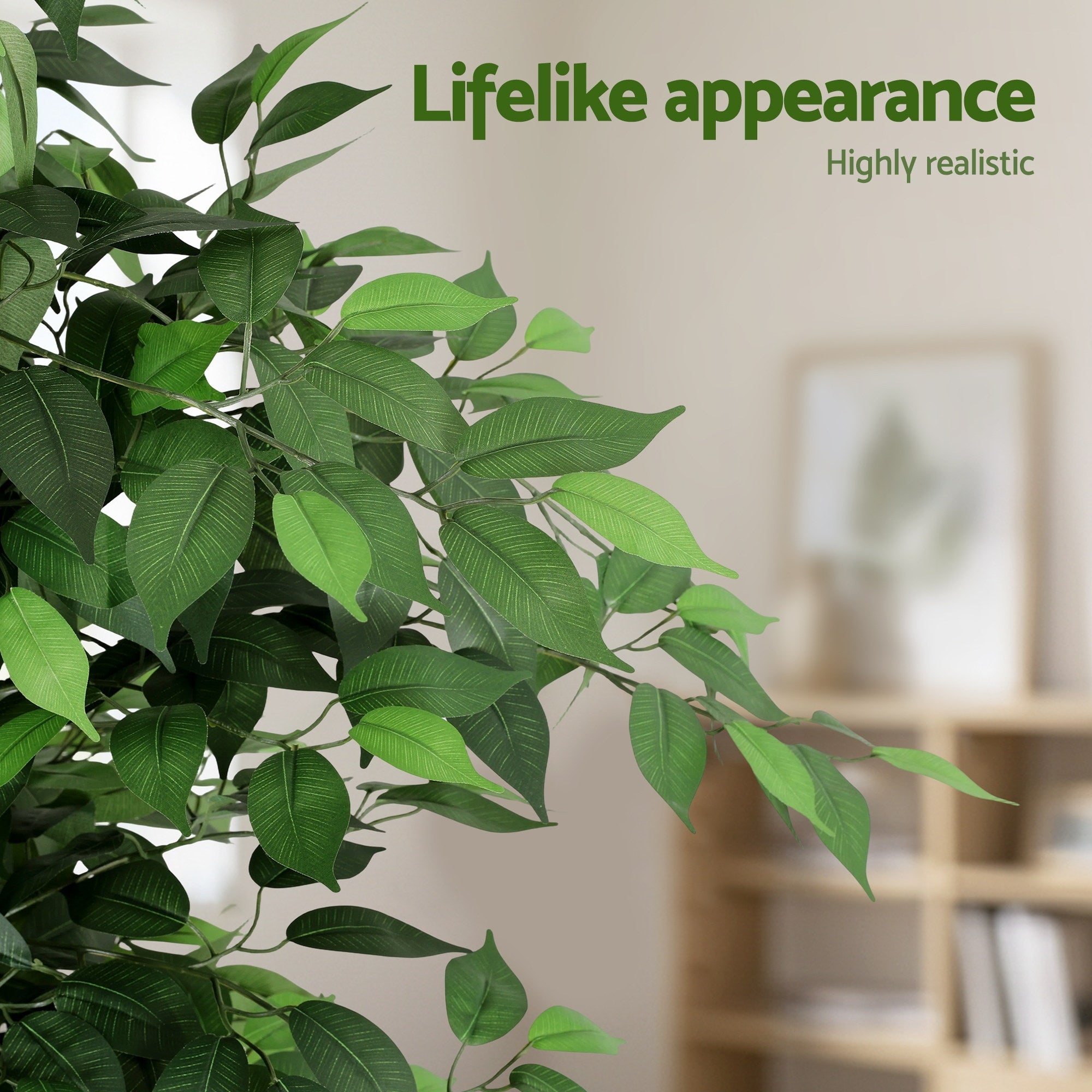 Grand Australian Ficus Tree (UV Resistant) 180cm
