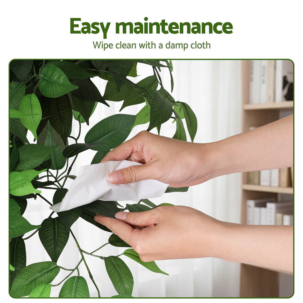 Grand Australian Ficus Tree (UV Resistant) 180cm