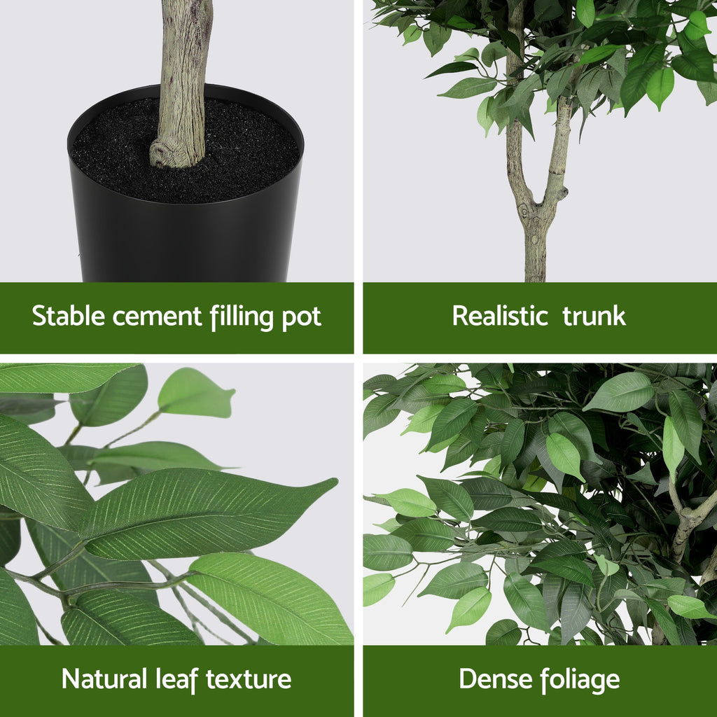 Grand Australian Ficus Tree (UV Resistant) 180cm