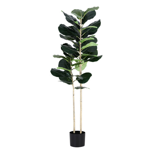 Studio Fiddle Leaf Fig Tree (UV Resistant) 150cm