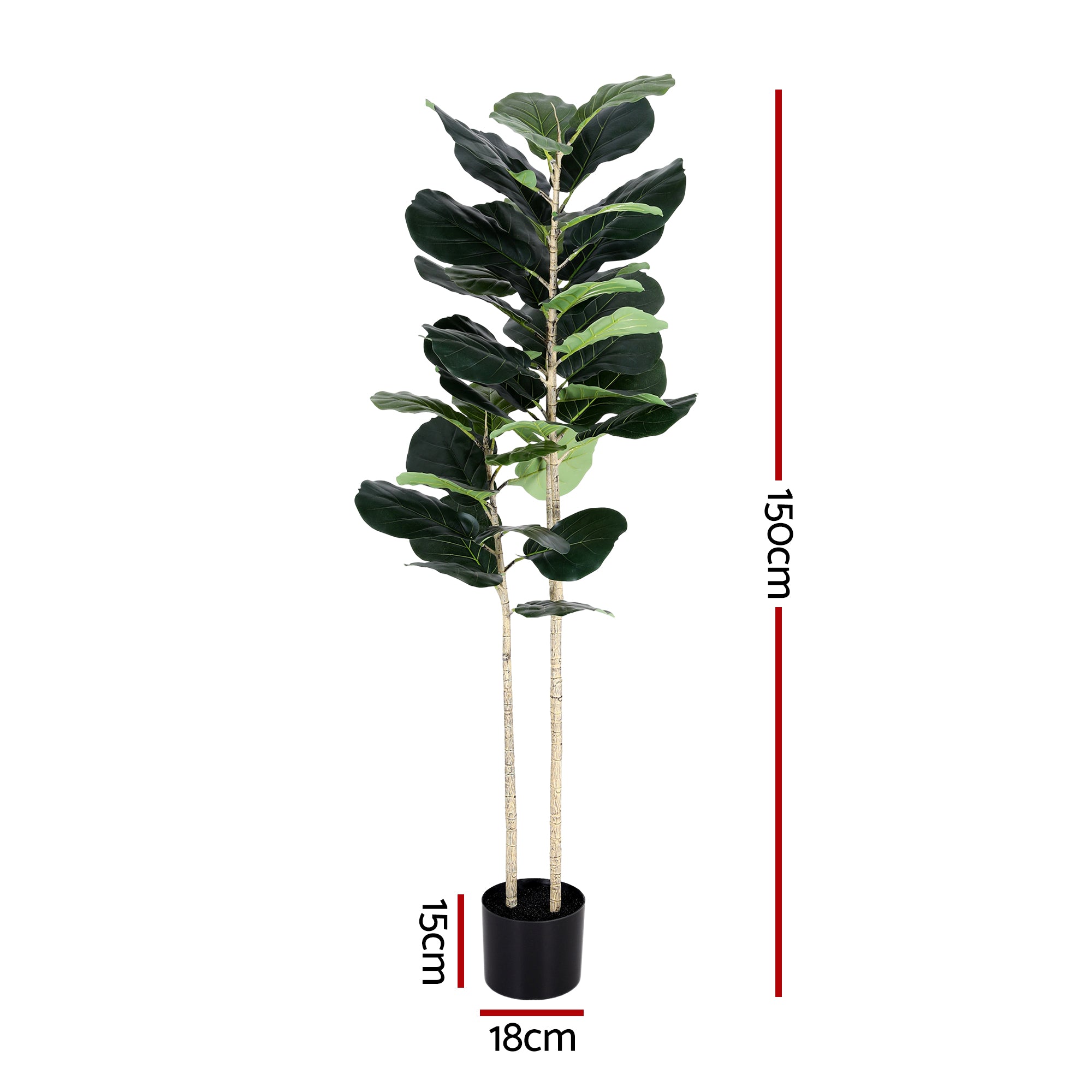 Studio Fiddle Leaf Fig Tree (UV Resistant) 150cm