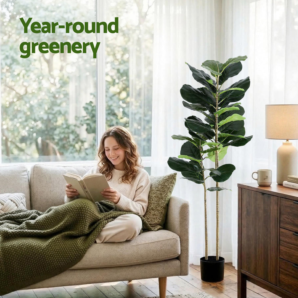 Studio Fiddle Leaf Fig Tree (UV Resistant) 150cm