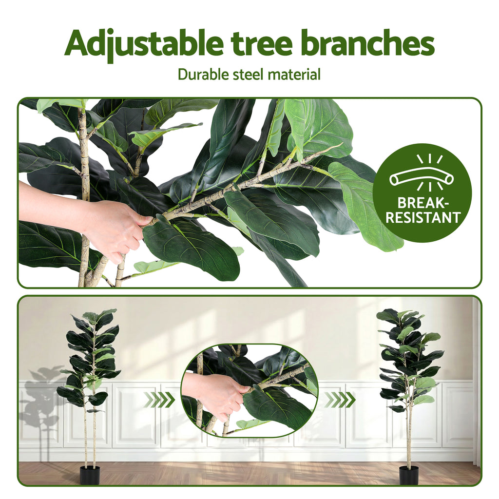 Studio Fiddle Leaf Fig Tree (UV Resistant) 150cm