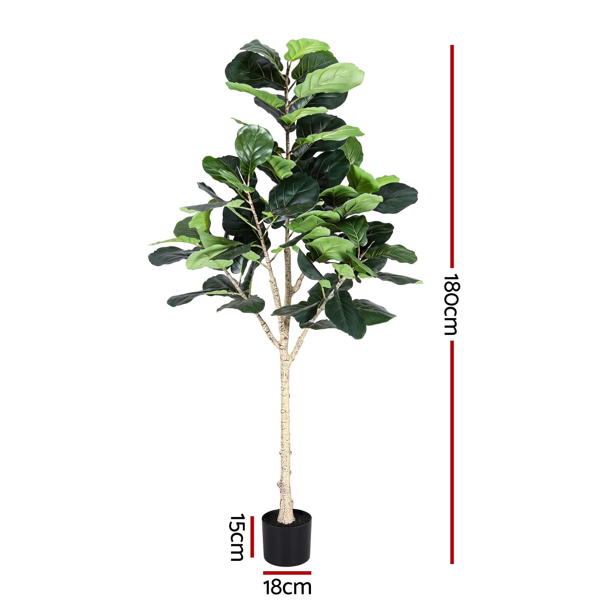 Grand Fiddle Leaf Fig Tree (UV Resistant) 180cm