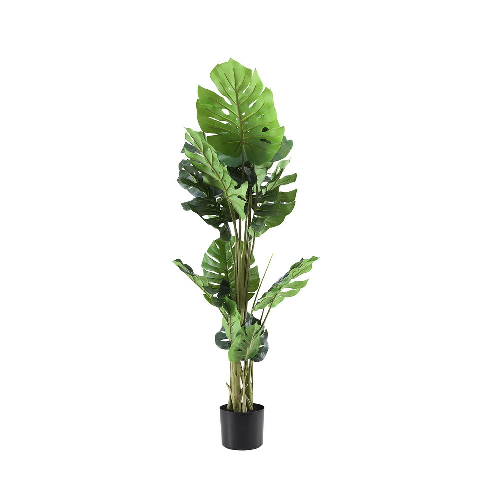 Artificial potted plant with large green leaves on a white background