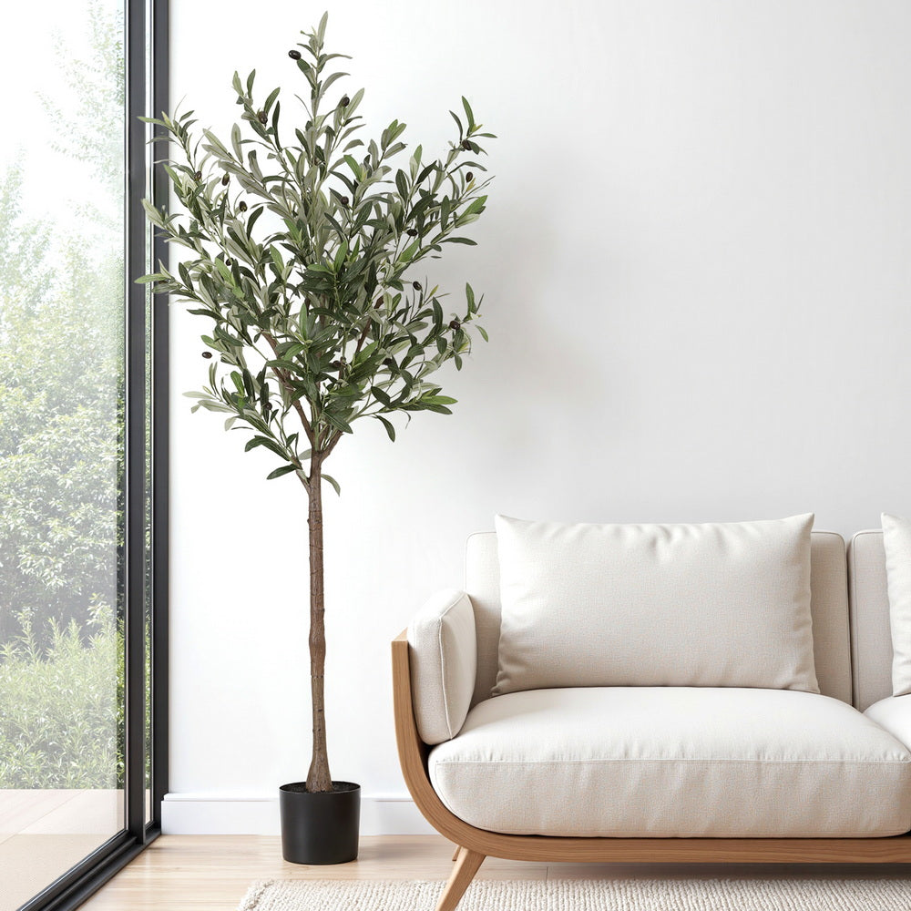 Potted plant next to a white sofa in a room with large windows.