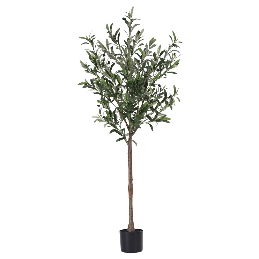 Artificial olive tree in a pot on a white background