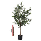 Artificial olive tree with a measurement stick on a white background