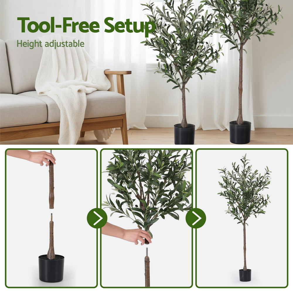 Two artificial olive trees with height adjustment features in a living room setting.