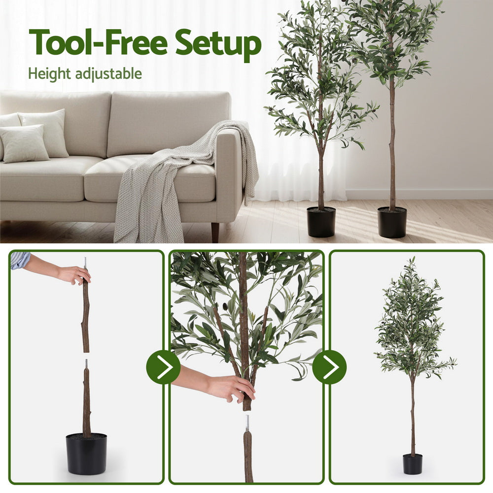 Collage of a living room with height-adjustable artificial trees and step-by-step instructions on setting them up.