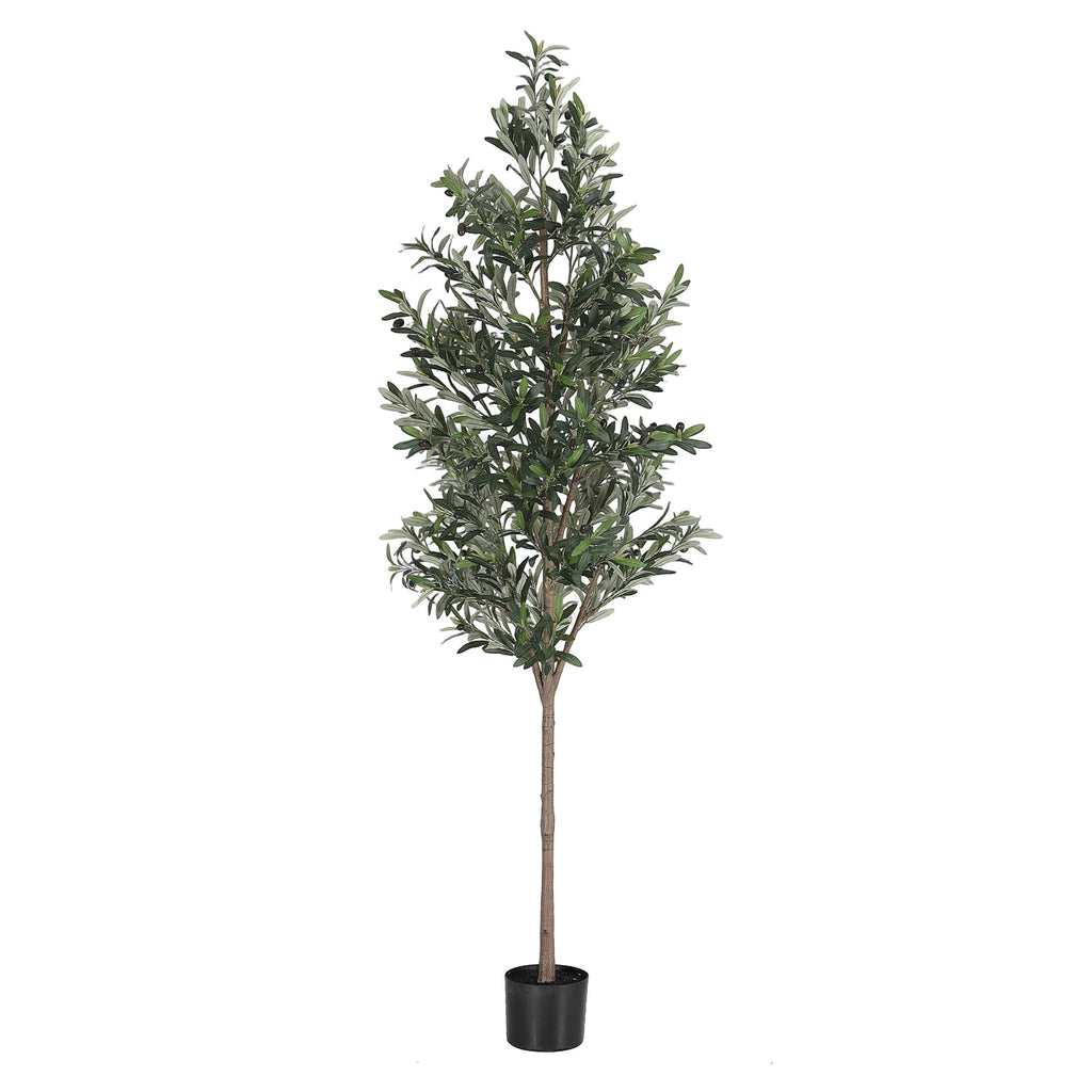 Majestic Mediterranean Olive Tree (UV Resistant) 210cm