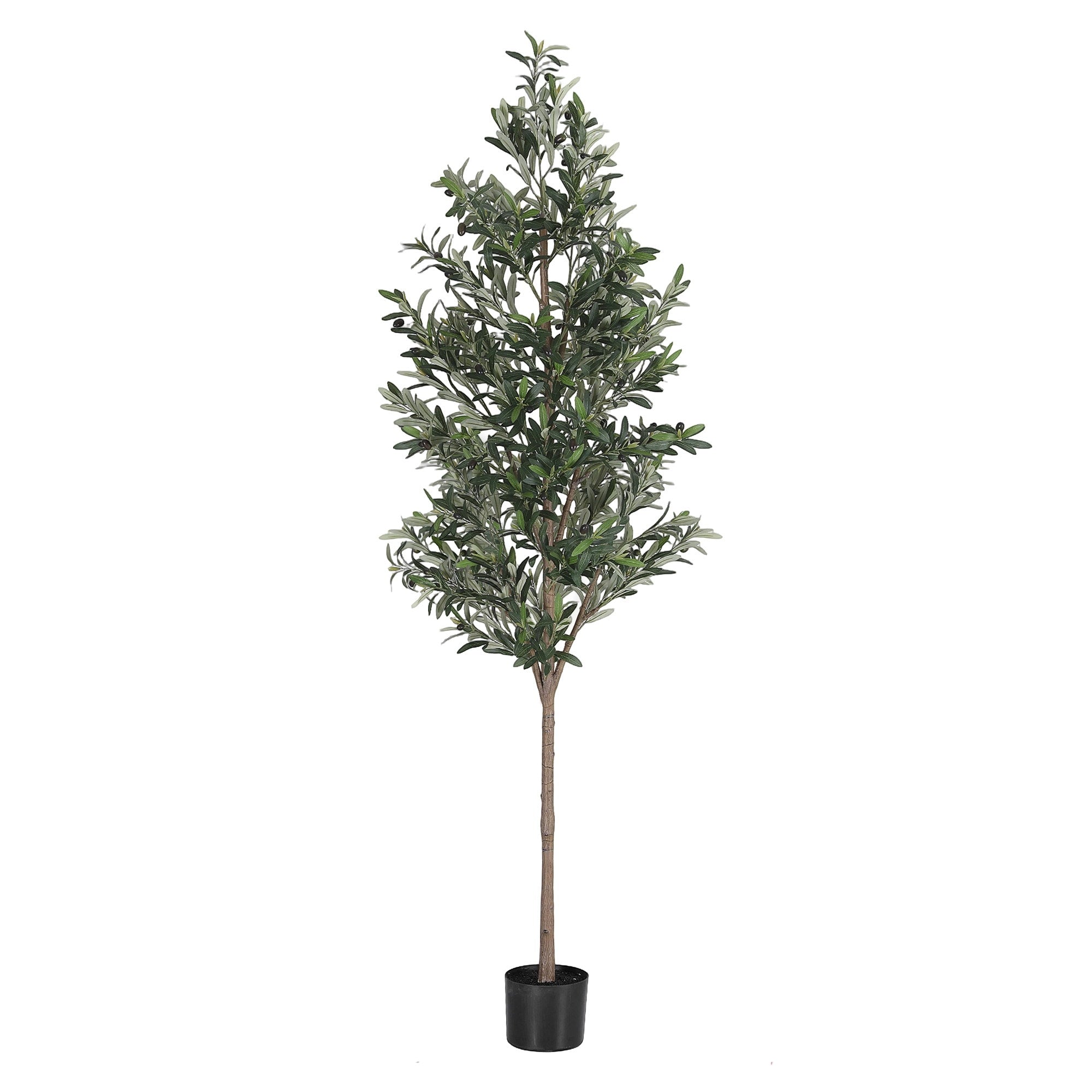 Majestic Mediterranean Olive Tree (UV Resistant) 210cm