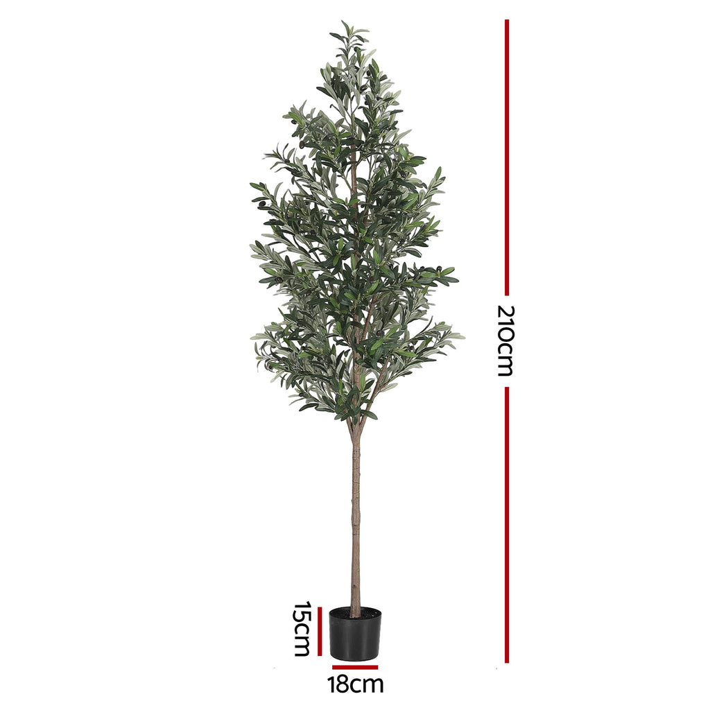 Majestic Mediterranean Olive Tree (UV Resistant) 210cm