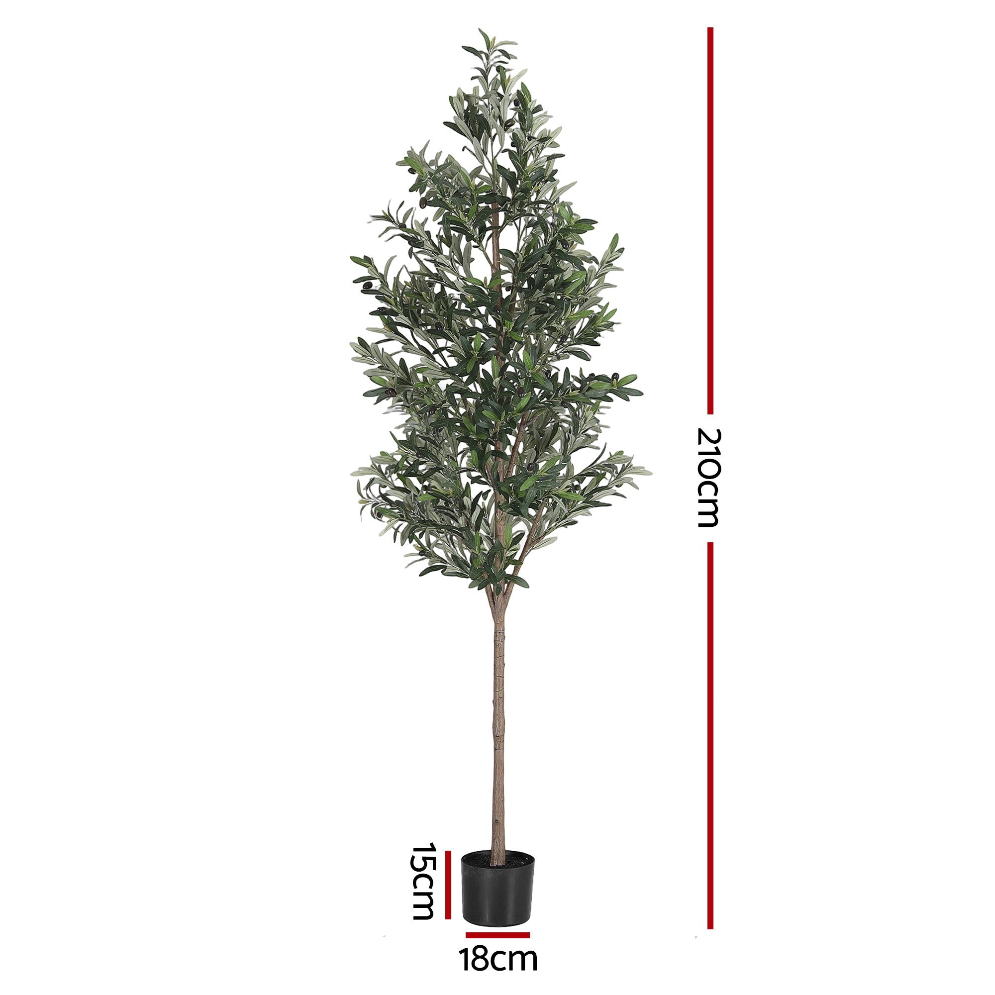 Majestic Mediterranean Olive Tree (UV Resistant) 210cm