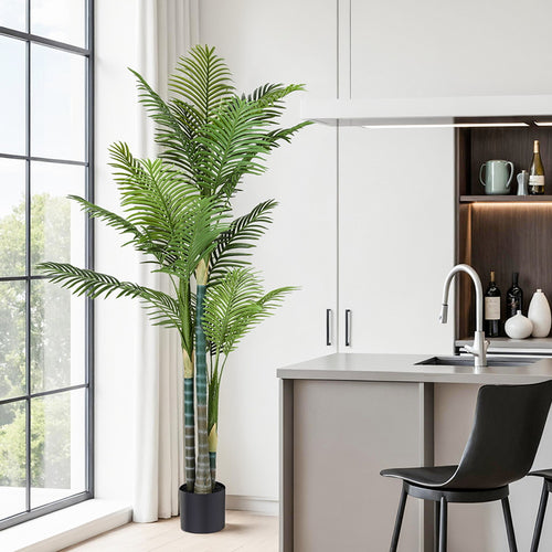 Modern kitchen with a large potted plant near a window