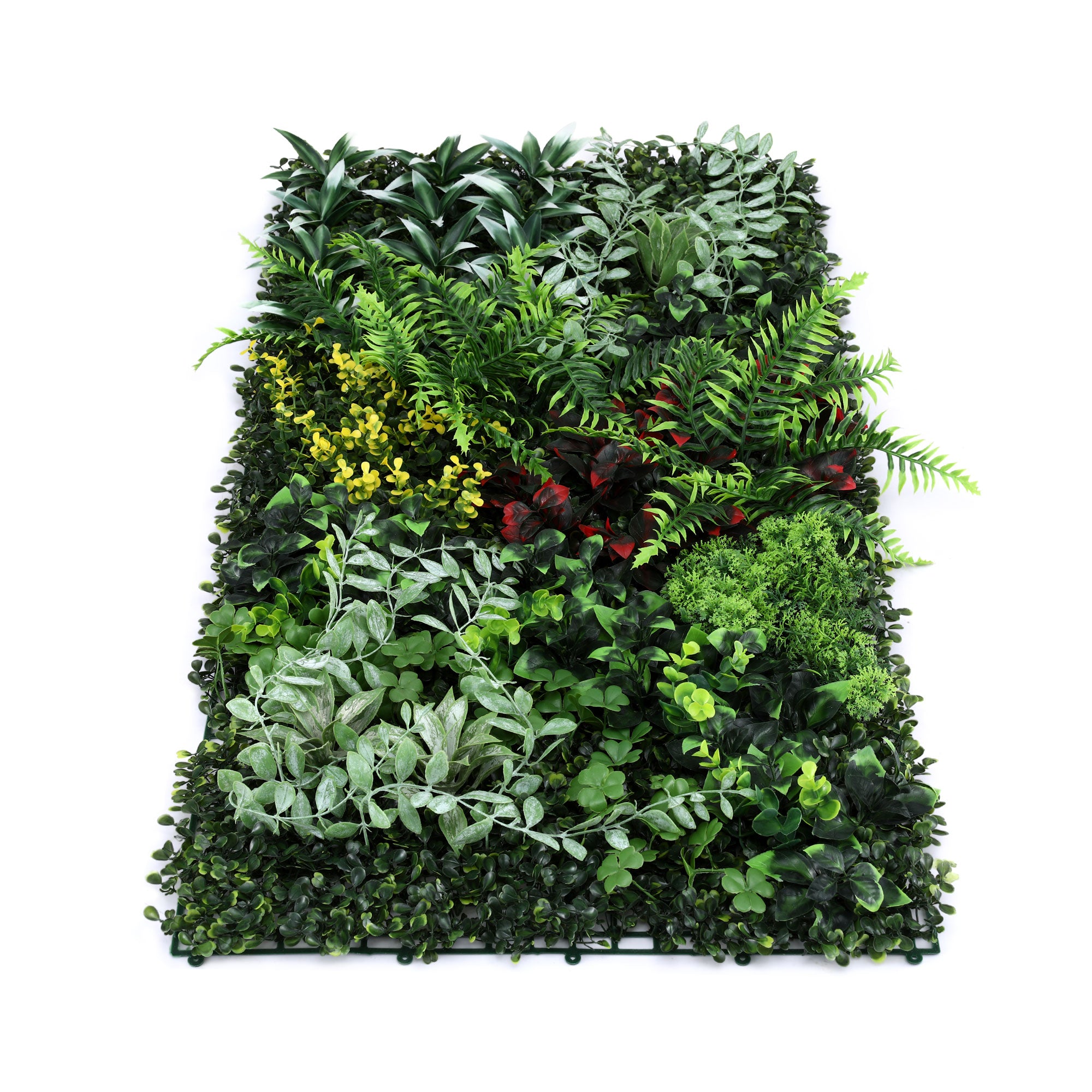 Artificial green wall panel with various green plants on a white background