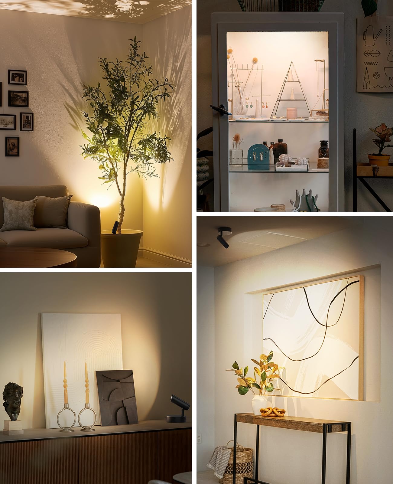 Rechargeable No Glare Indoor Plant Spotlight | Wireless Accent Uplight with Remote