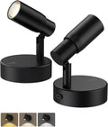 Rechargeable Zoomable Plant Spotlight (2 Pack) | Wireless Focus Uplights with Remote
