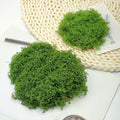 Moss Topper (Dark Green) 1000g