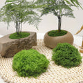 Moss Topper (Dark Green) 200g