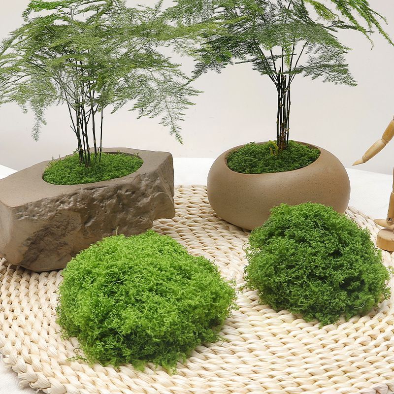 Moss Topper (Dark Green) 200g
