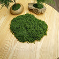 Moss Topper (Dark Green) 30g