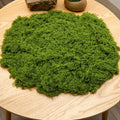 Moss Topper (Light Green) 100g
