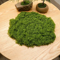 Moss Topper (Light Green) 50g