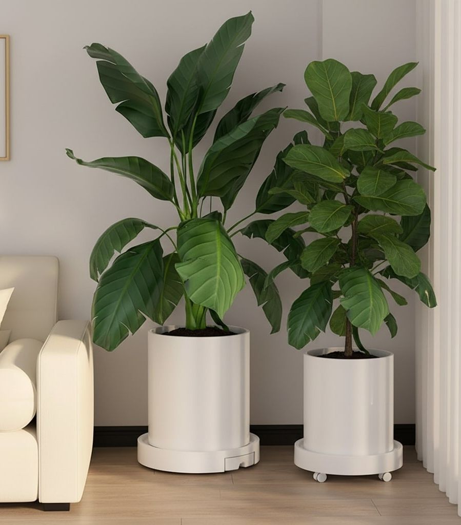 Rolling Plant Stand with 360° Wheels Pack (Pack of 2) 26cm