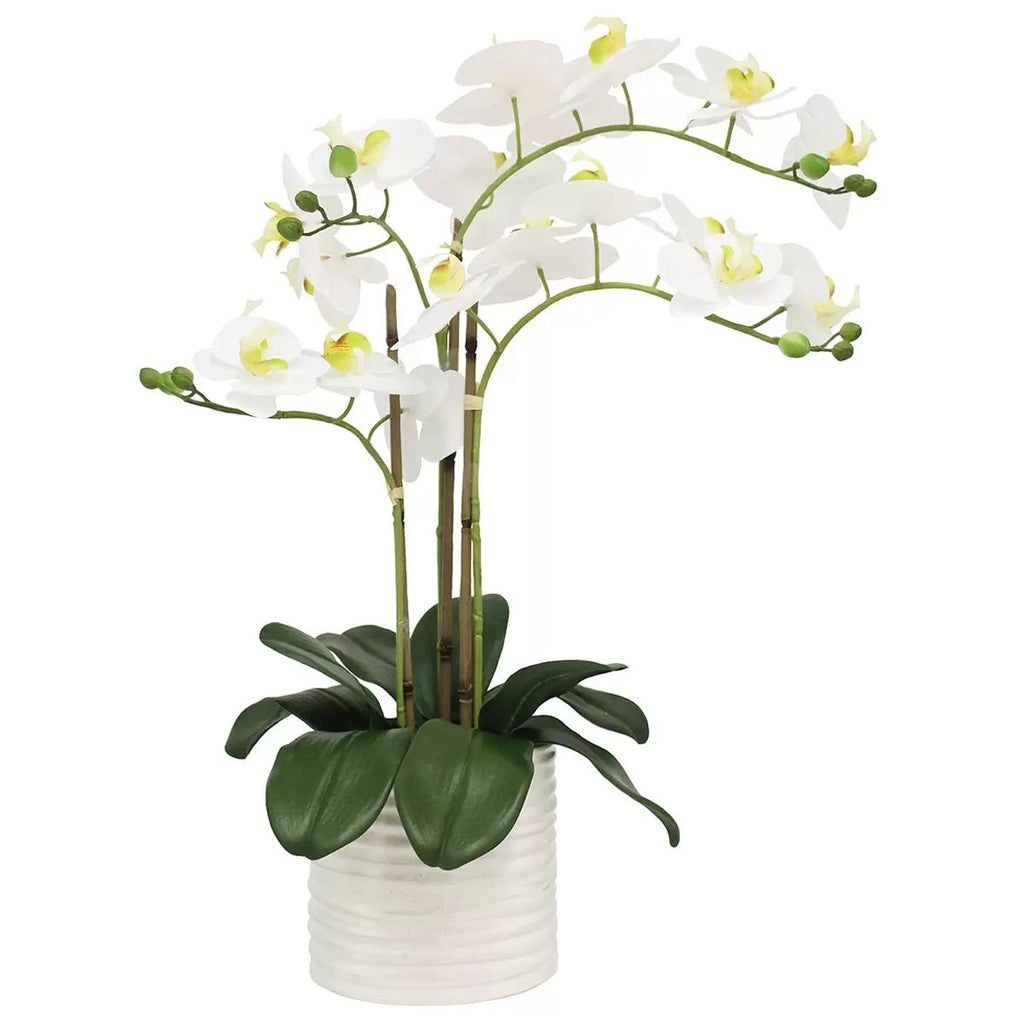 Artificial orchid plant in ribbed pot from Faux Flora, 67cm tall, perfect for home decor and indoor garden accents.