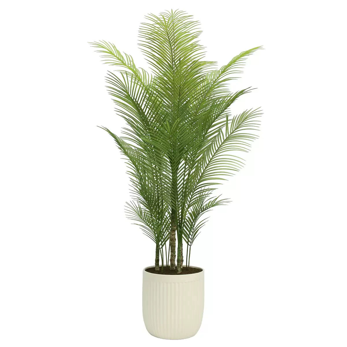 Artificial Palm Tree In Ribbed Pot 200cm