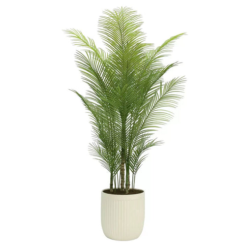 Palm Tree in Ribbed Pot 200cm