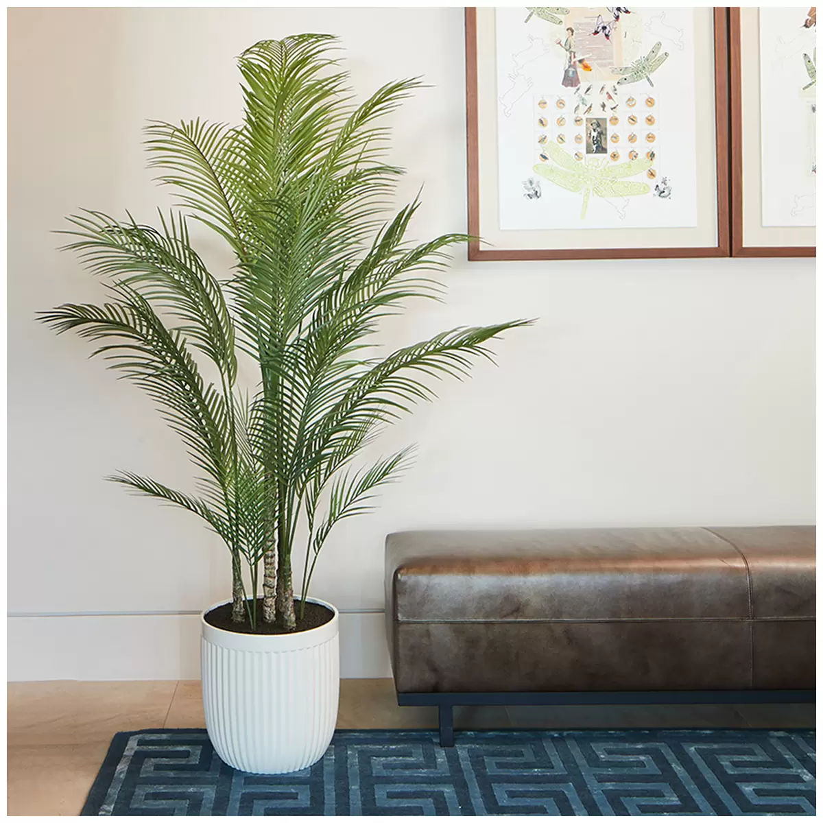 Palm Tree in Ribbed Pot 200cm