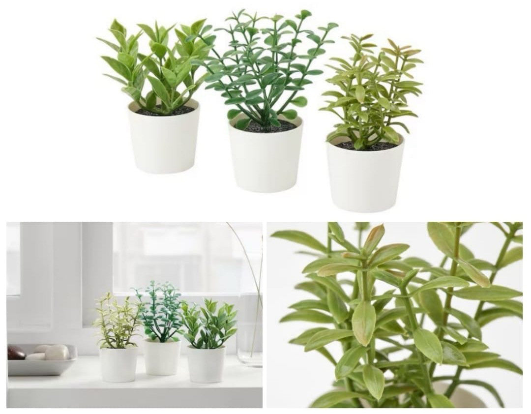 Artificial Herb Potted Plants in White Plastic (Set of 3) 5cm